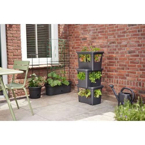 elho Green Basics Stack & Grow 50 - Übertopf für Außen Züchten Und Ernten - Ø 50.9 x H 35.7 cm - Schwarz/Living Schwarz - Spielzeug - Sonderposten