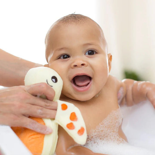 SoapSox Wasch - Schwamm Schildkröte - Spielzeug - Sonderposten