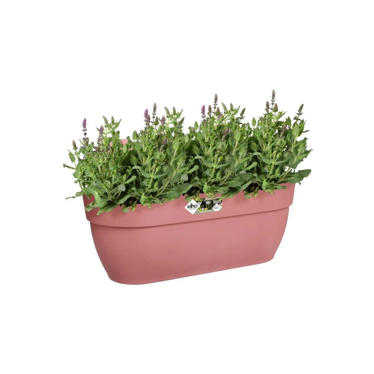 Elho Vibia Campana Blumenkasten mit Aufhänger – Groß – Puderrosa ca,46cm - Spielzeug - Sonderposten